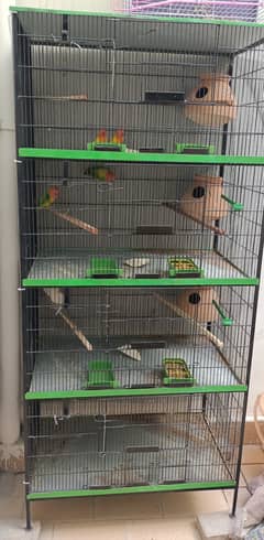 Bird Cage like New Condition