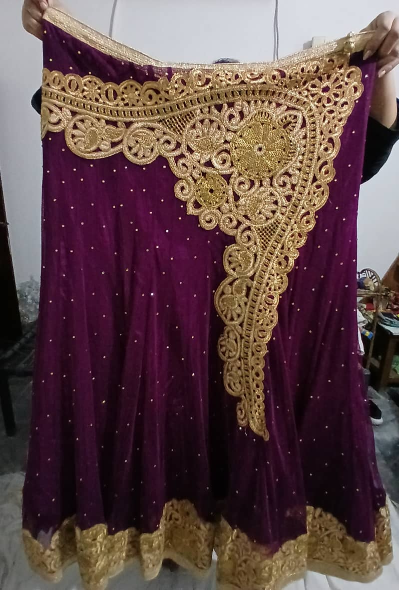 Fancy Langha ( imported) size Large 3