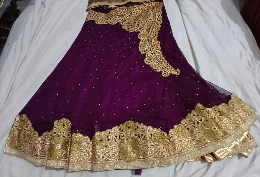 Fancy Langha ( imported) size Large 4