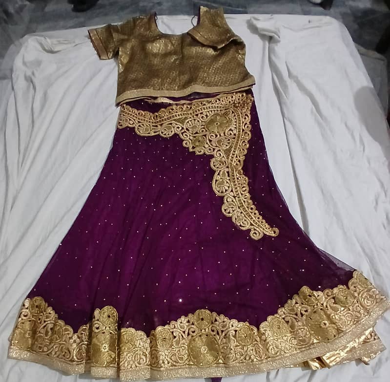 Fancy Langha ( imported) size Large 5