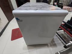 Haier Double Door Chest Deep Freezer