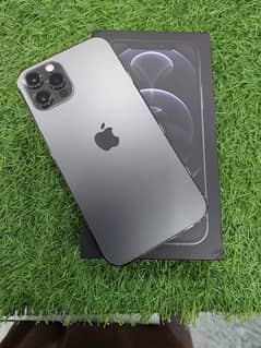 iPhone 12 Pro PTA approved