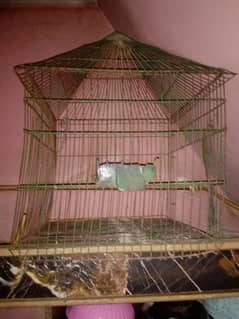 hen cage