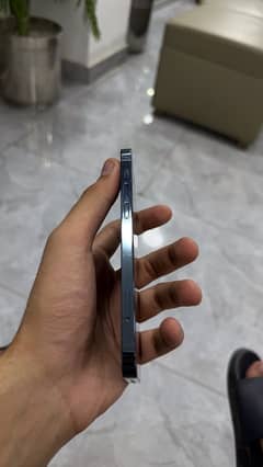 iphone 12 pro non pta fu