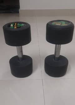 8 kg dumbells (pair)