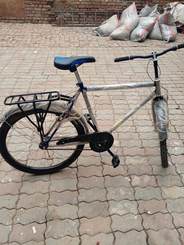 new bicycle 2