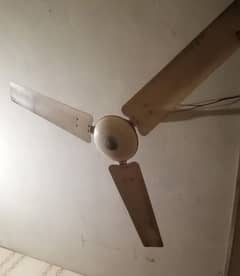 Ceiling and Pedestal Fan