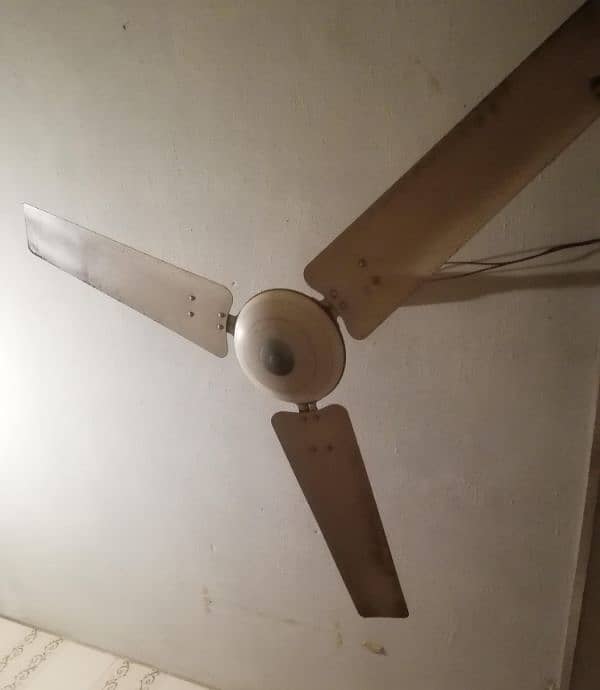 Ceiling and Pedestal Fan 0