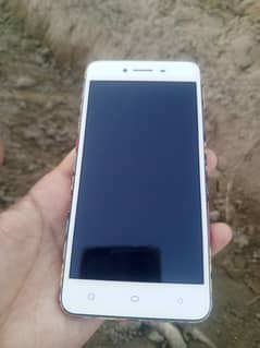 oppo A57 battery timing 4000/mAh  memory 2/32 lush condition