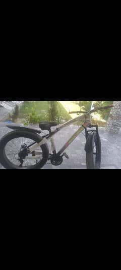 FAT BIKE