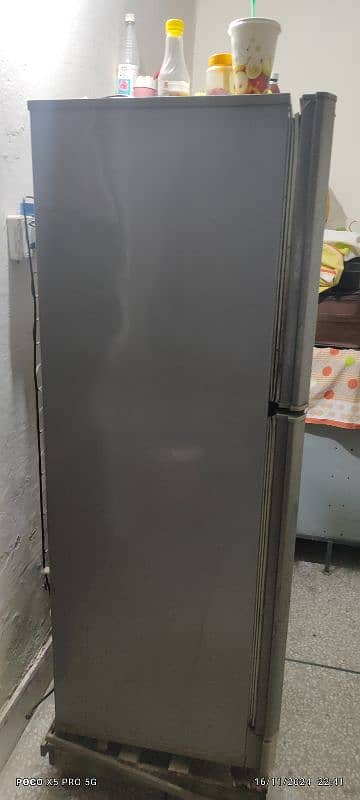 Refrigerator PEL 1