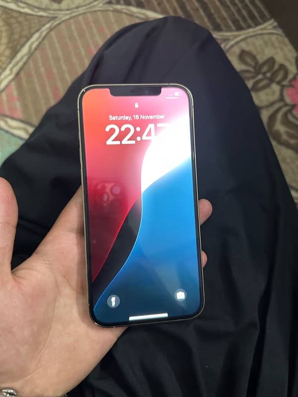 iPhone 12 pro max duel pta 256 1