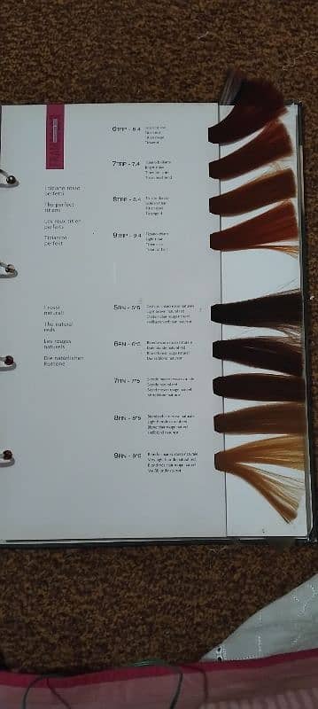 hair colour book 6