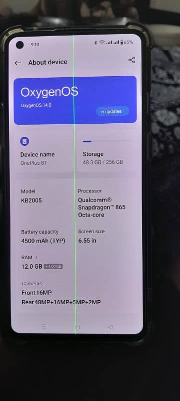 one Plus 8t 12/256 10/9 2