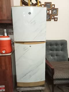 Pel fridge Whatsapp and olx chat only