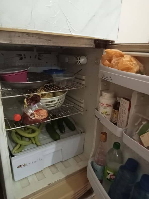 Pel fridge Whatsapp and olx chat only 1