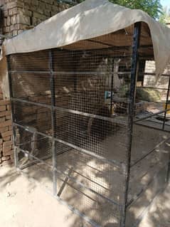 Hens cage iron made