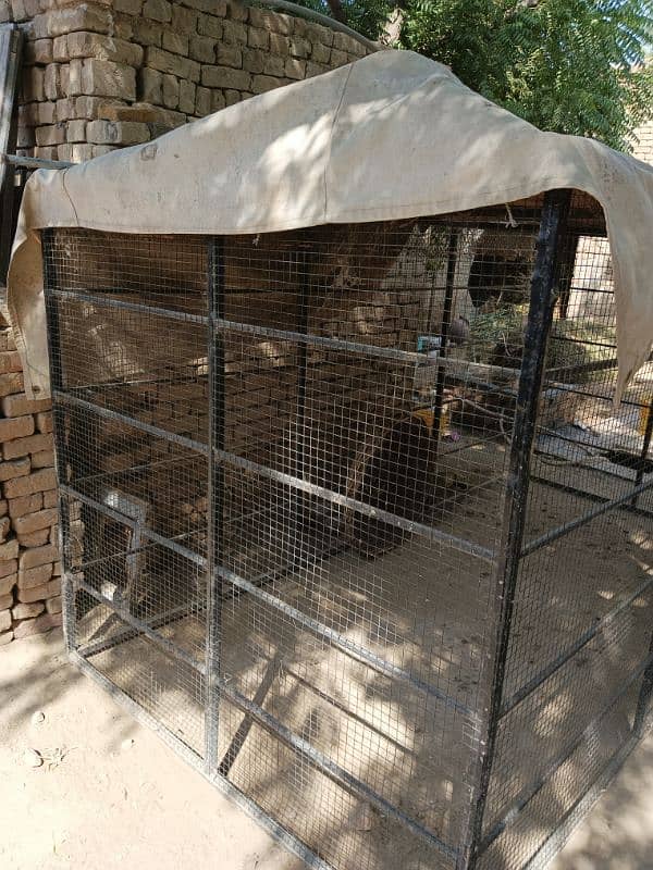 Hens cage iron made 1