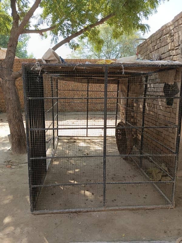 Hens cage iron made 4