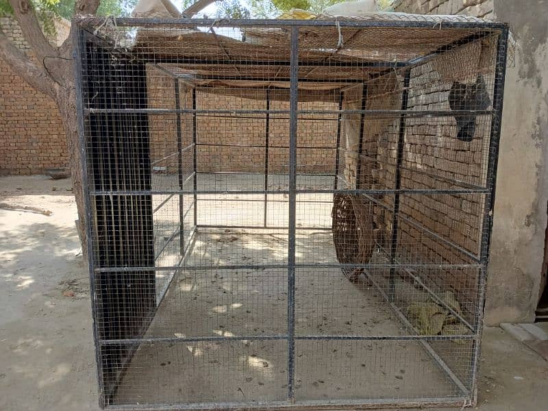 Hens cage iron made 7