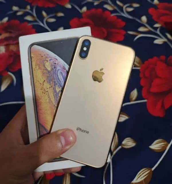 iPhone XS 256GB PTA Approved 1