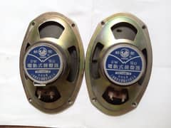 Japani speakers