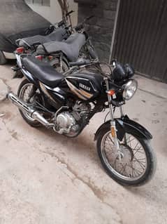 Yamaha YB 125z 2019