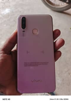 Vivo