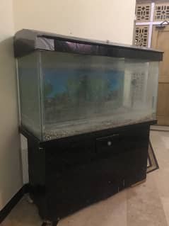 Aquarium For Sale