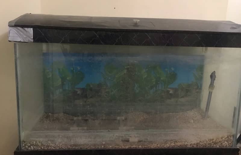 Aquarium For Sale 2