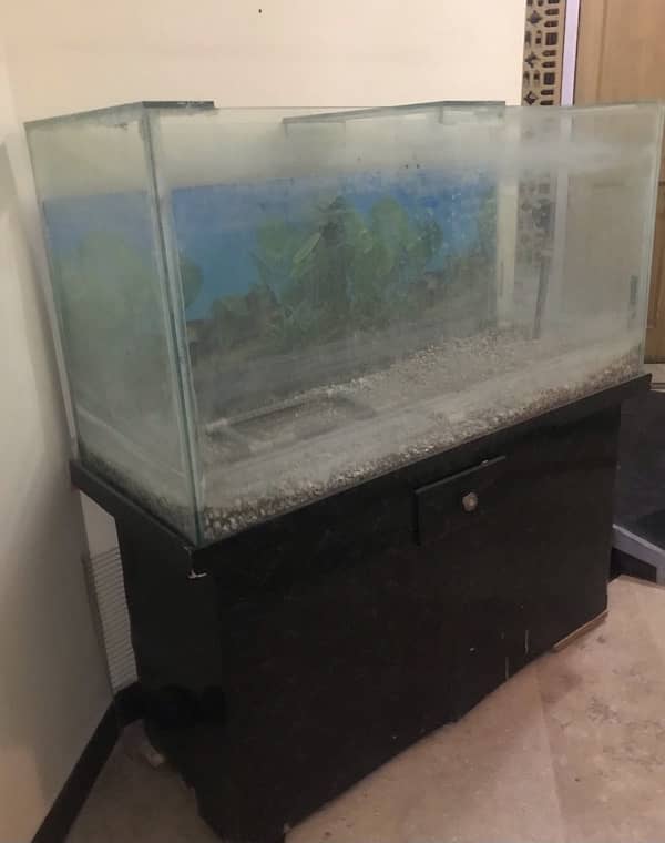 Aquarium For Sale 4