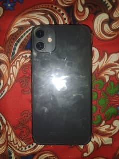 iPhone 11 panel change