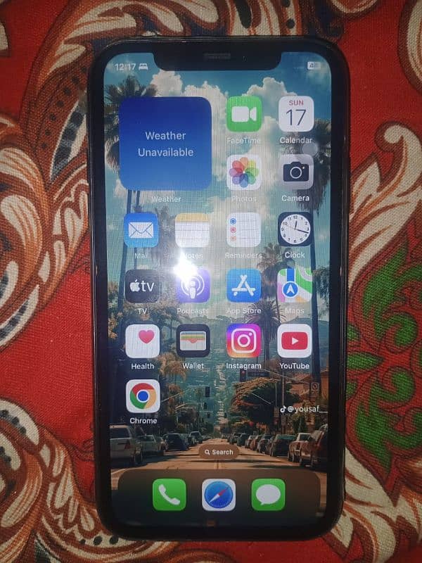 iPhone 11 panel change 1