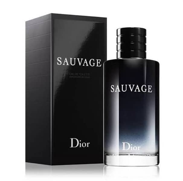 SAUVAGE DIOR 1