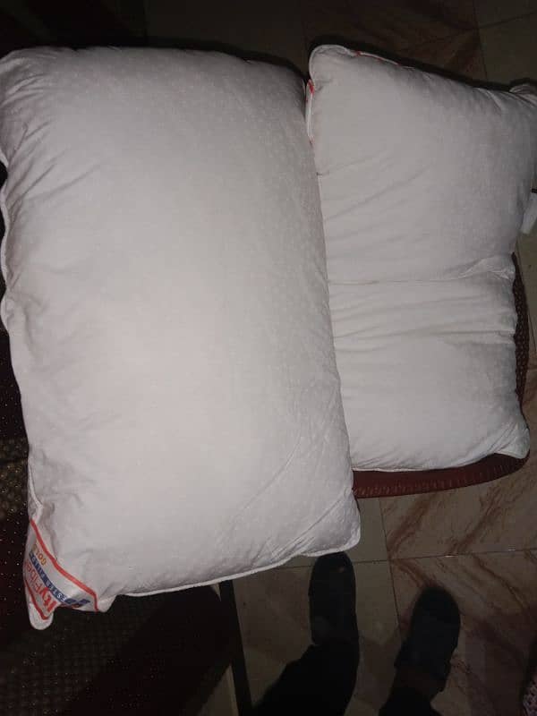 Pillows 0