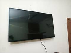 EcoStar LED TV CX-43U558 1920 x 1080 (43")