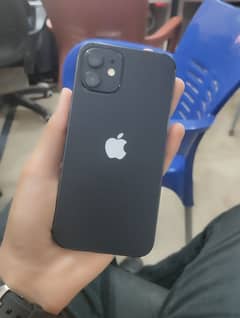 Iphone 12 Apple