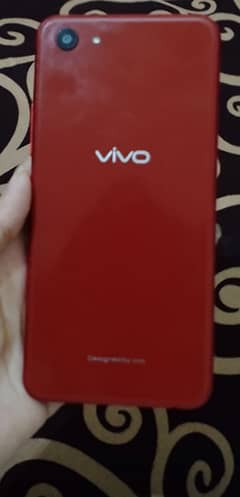 vivo