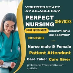 Nurse/Care Taker/Nanny/House Maid/Cook/, patient Attendant/Helper