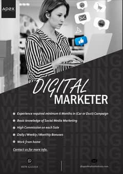 Need Digital Marketer!