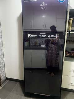 Fridge (Model #91996GD Invertor R )