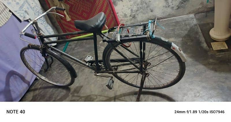 bicycle shahi swaari 1