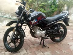 Yamaha ybr g 2024 all Punjab number