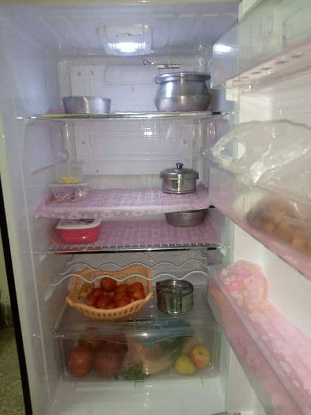 PEL Fridge for sale in 10/10 condition 3