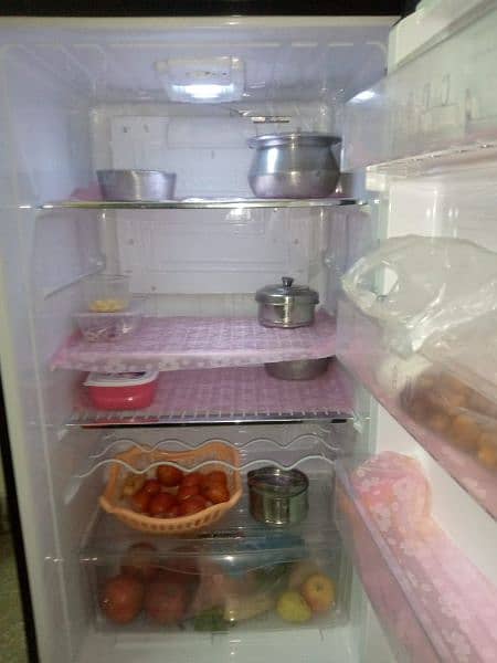 PEL Fridge for sale in 10/10 condition 5