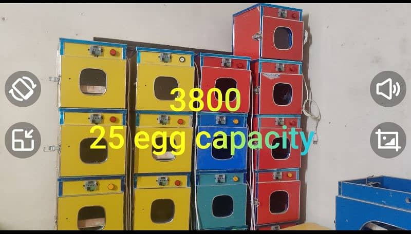 we deal in all kind of incubator brooder imported incubator 19