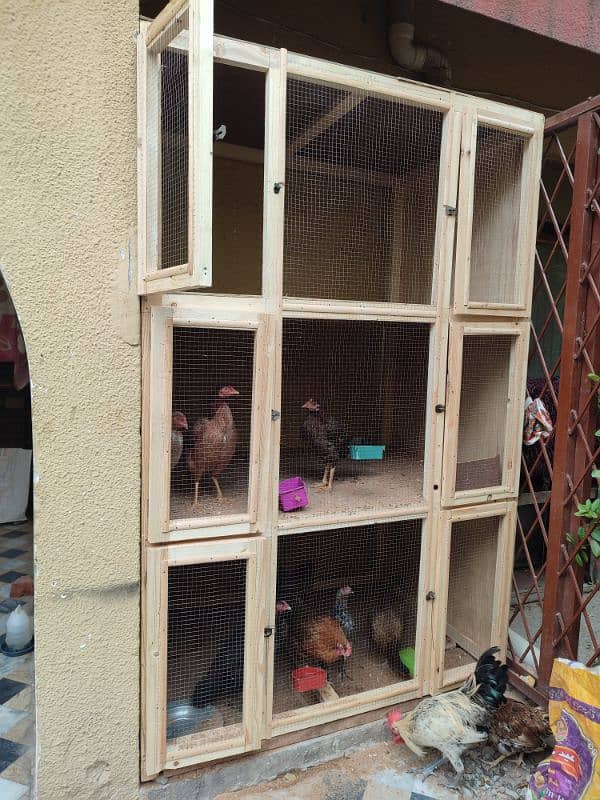 wooden cage made 3 days ago 0