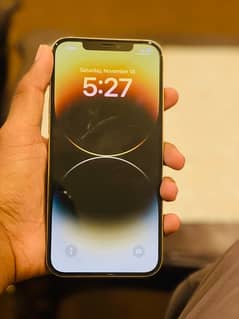 iphone 12 pro max 256GB