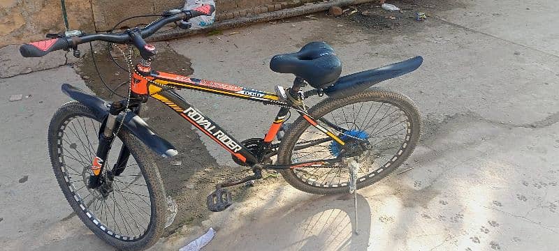 Bicycle in Good Condition 2