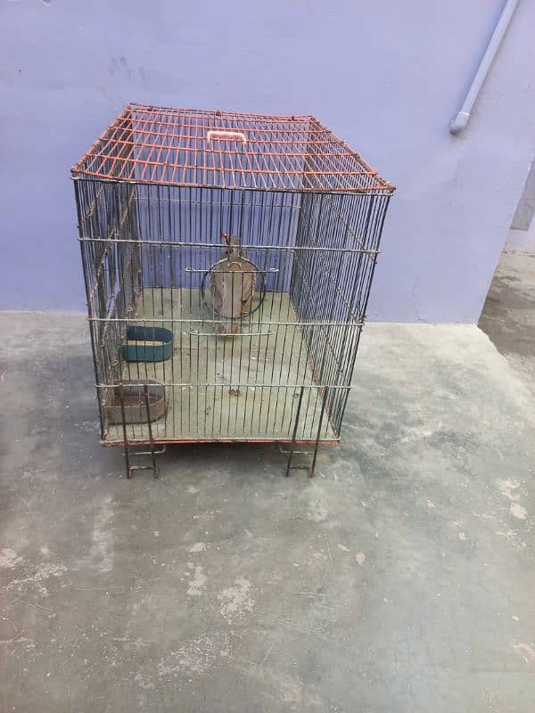 cage. 3